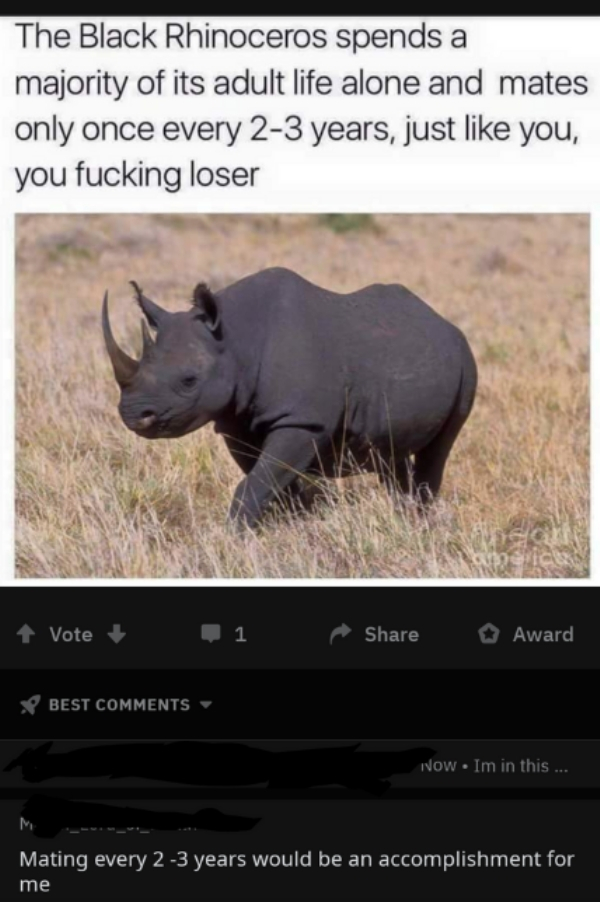 black rhinoceros - The Black Rhinoceros spends a majority of its adult life alone and mates only once every 23 years, just you, you fucking loser Vote 1 Award V Best Now. Im in this ... Mating every 23 years would be an accomplishment for me