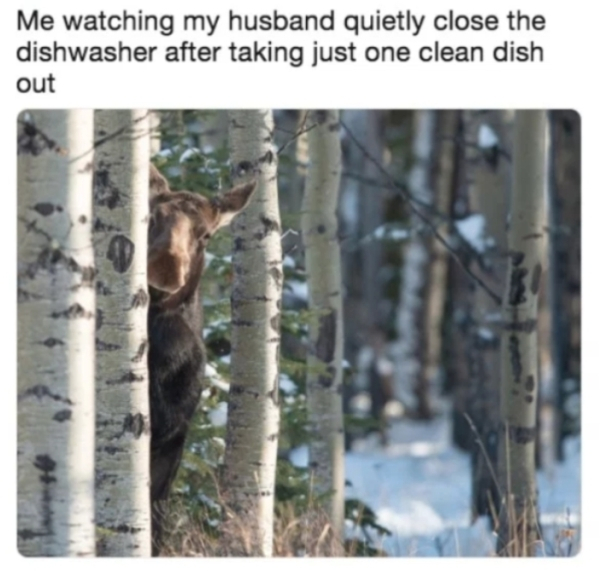 29 Memes that sum up the married life.