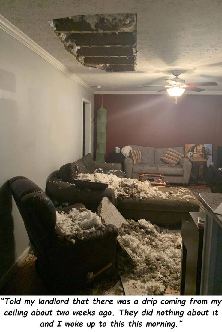 ceiling - "Told my landlord that there was a drip coming from my ceiling about two weeks ago. They did nothing about it and I woke up to this this morning."