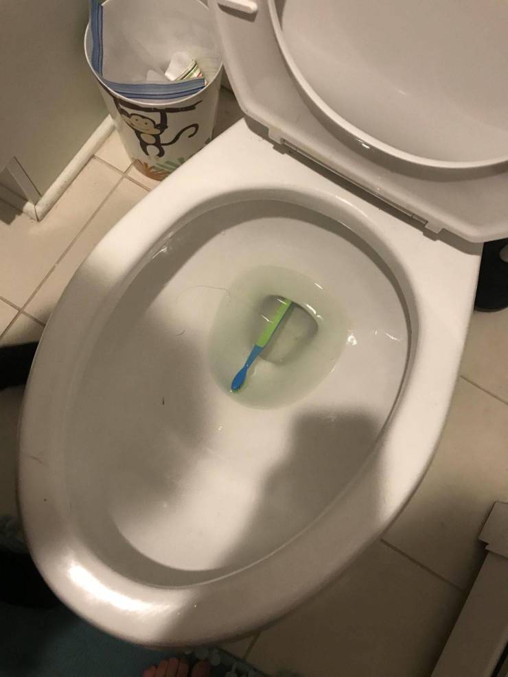 toilet seat