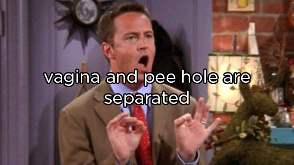 chandler bing could i be any more - vagina and pee hole are separated