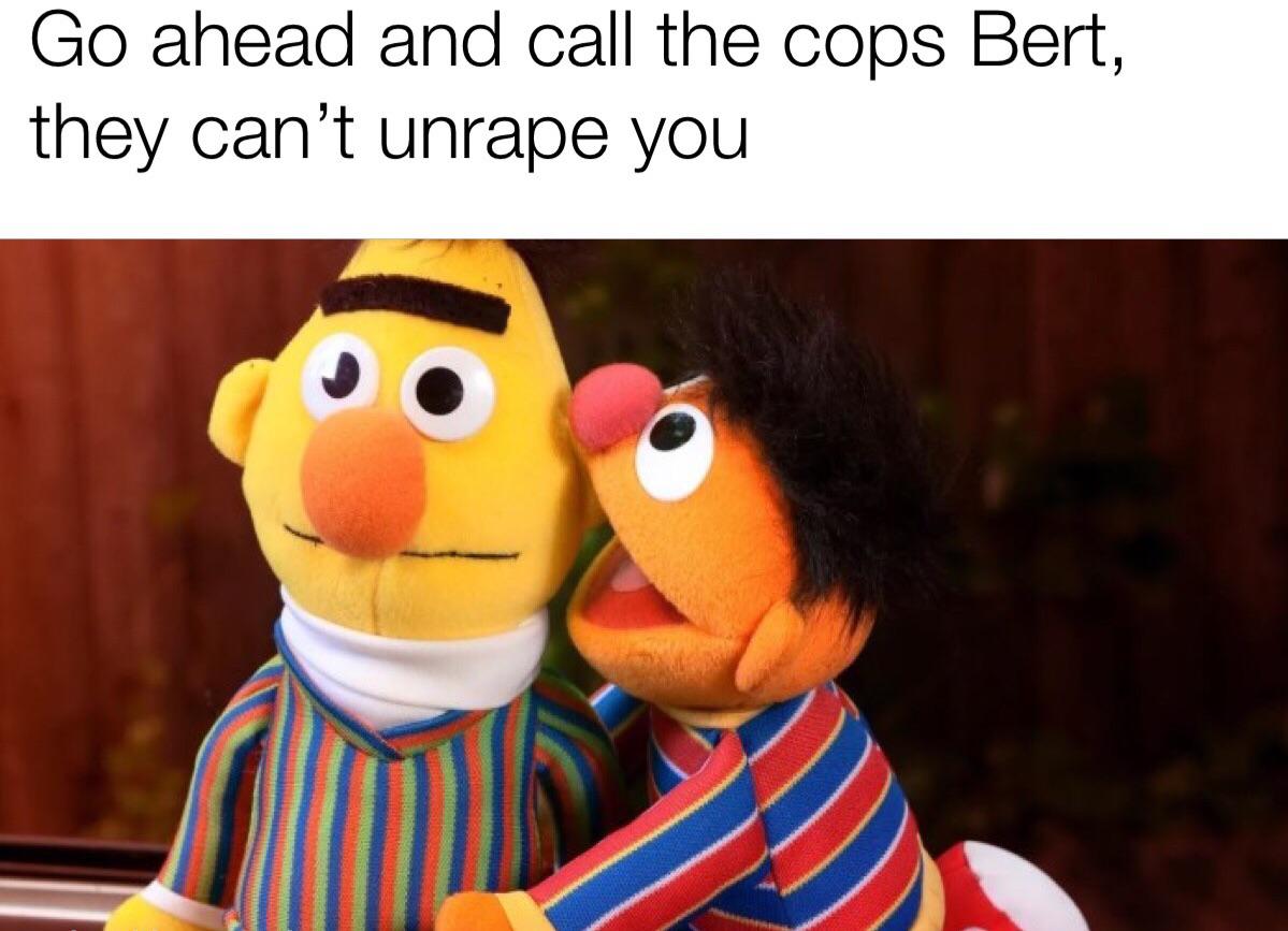 bert and ernie gay - Go ahead and call the cops Bert, they can't unrape you