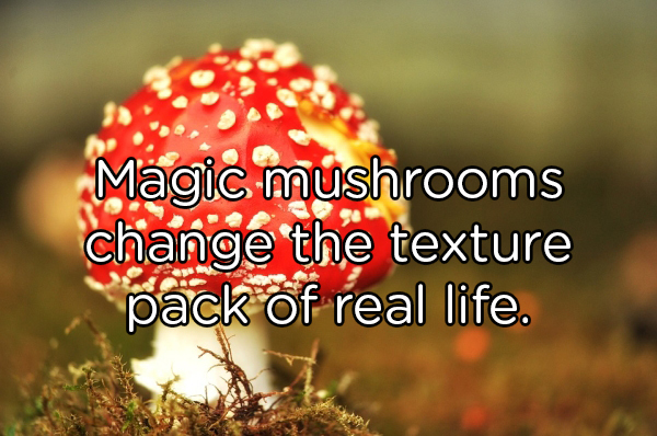 Mushroom - Magic mushrooms change the texture pack of real life.