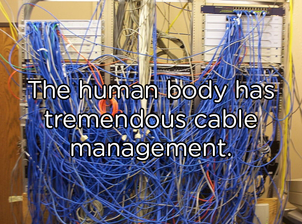 bad data center - The meg body has tremendous cable management.