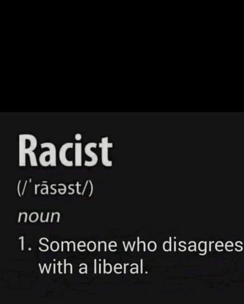 brain twister - Racist I'rsst noun 1. Someone who disagrees with a liberal.