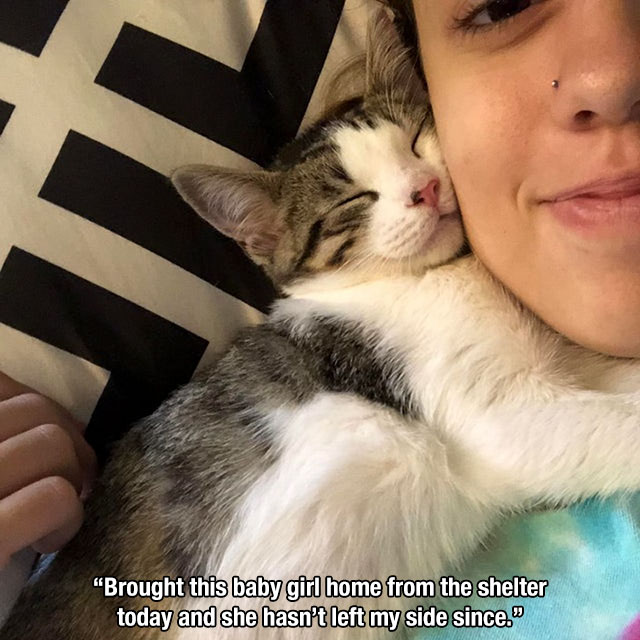 photo caption - "Brought this baby girl home from the shelter today and she hasn't left my side since."