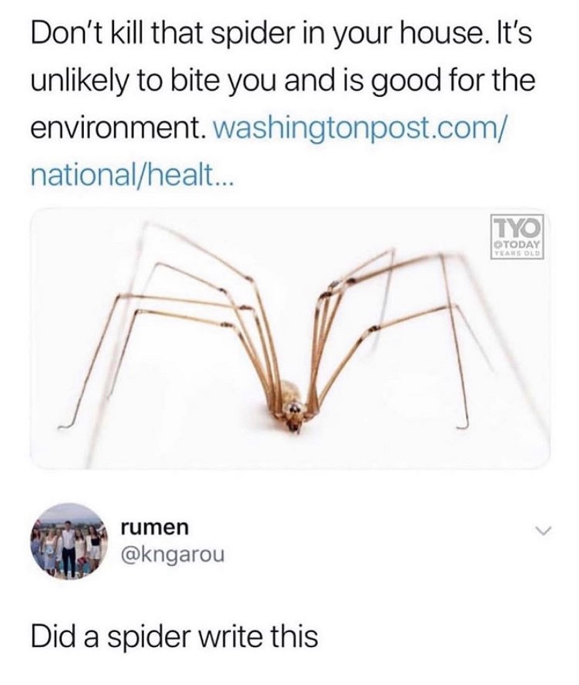 angle - Don't kill that spider in your house. It's unly to bite you and is good for the environment. Washingtonpost.com nationalhealt... Yo Today Years Old rumen Did a spider write this