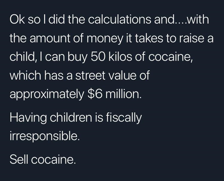 Ok so I did the calculations and....with the amount of money it takes to raise a child, I can buy 50 kilos of cocaine, which has a street value of approximately $6 million. Having children is fiscally irresponsible. Sell cocaine.