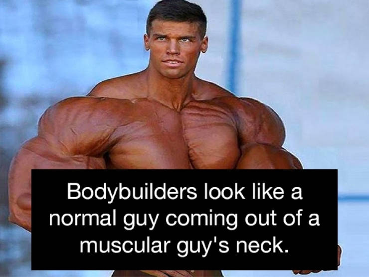 são paulo - Bodybuilders look a normal guy coming out of a muscular guy's neck.