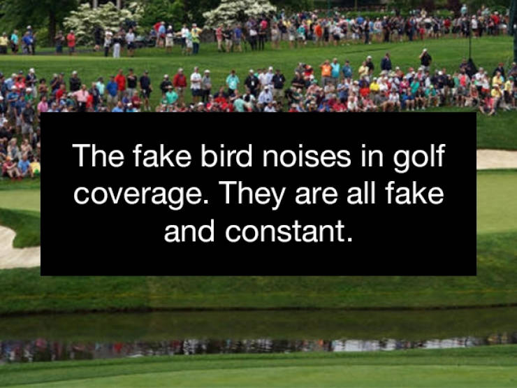 games - The fake bird noises in golf coverage. They are all fake and constant.