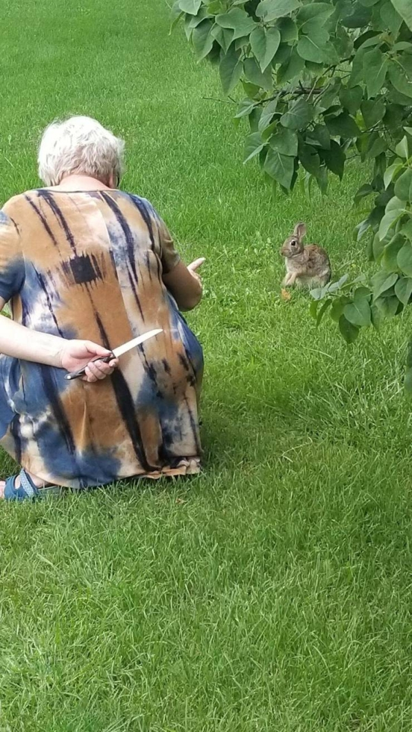 grandma hiding knife from rabbit