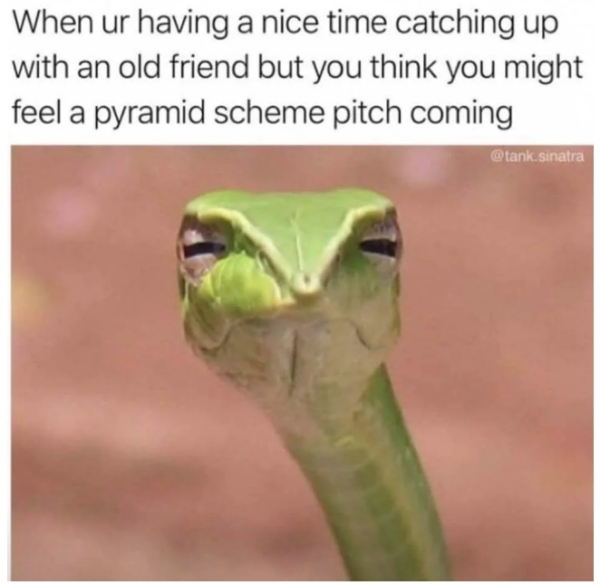 old friend pyramid scheme meme - When ur having a nice time catching up with an old friend but you think you might feel a pyramid scheme pitch coming . Sinatra