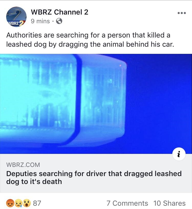 water - Wbrz Channel 2 9 mins. Wbrz Authorities are searching for a person that killed a leashed dog by dragging the animal behind his car. Wbrz.Com Deputies searching for driver that dragged leashed dog to it's death 87 7 10