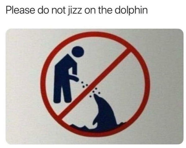 do not pee on the dolphin - Please do not jizz on the dolphin
