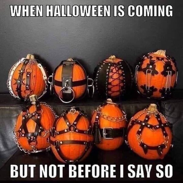 halloween is coming meme - When Halloween Is Coming But Not Before I Say So