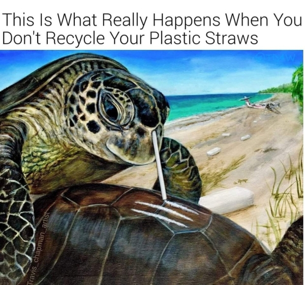 happens when you don t recycle plastic straws - This Is What Really Happens When You Don't Recycle Your Plastic Straws Travis chapman artist