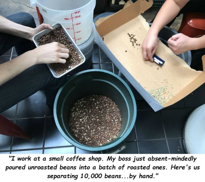 18 16 15L co "I work at a small coffee shop. My boss just absentmindedly poured unroasted beans into a batch of roasted ones. Here's us separating 10,000 beans...by hand."