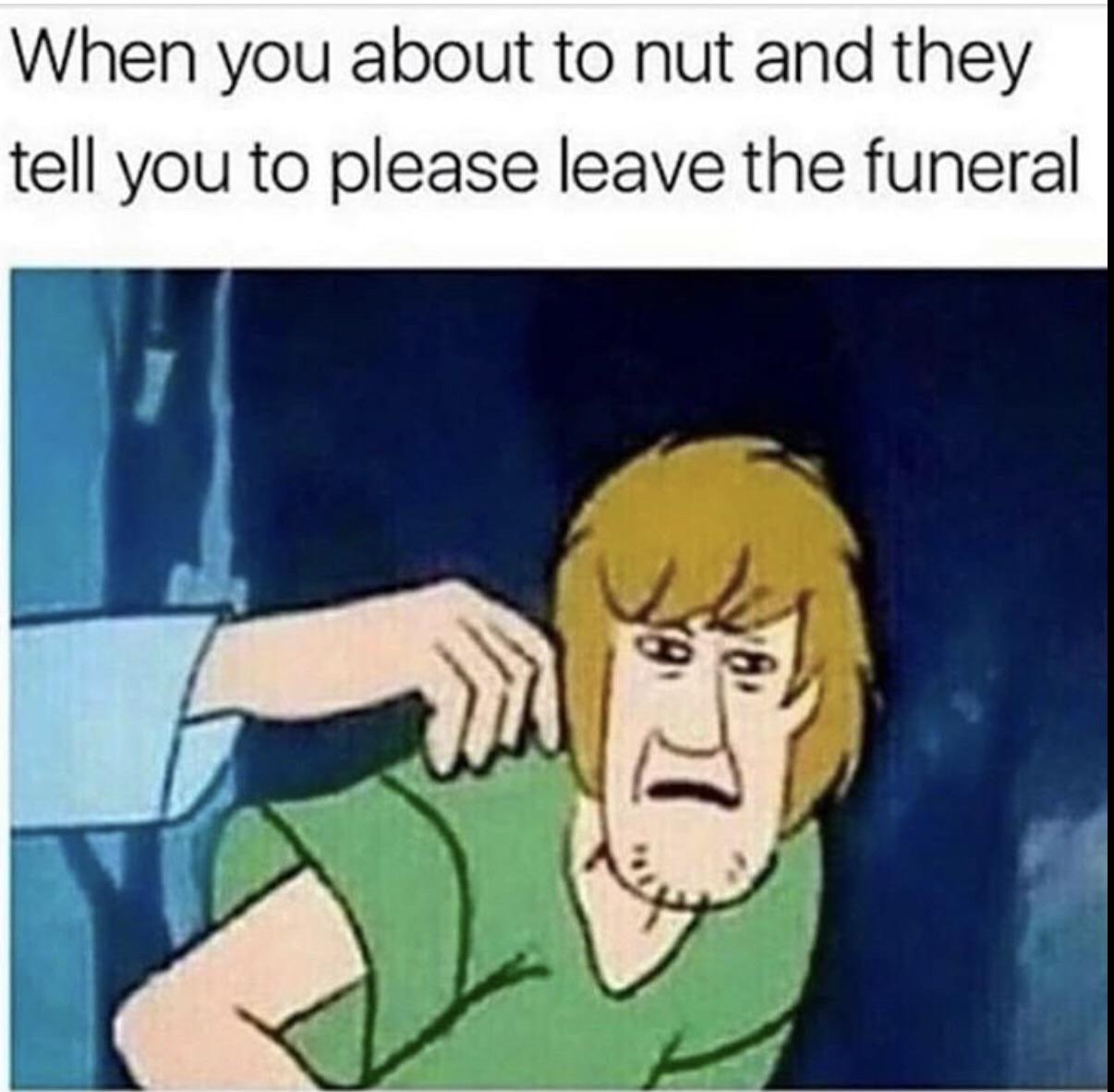 furry convention memes - When you about to nut and they tell you to please leave the funeral