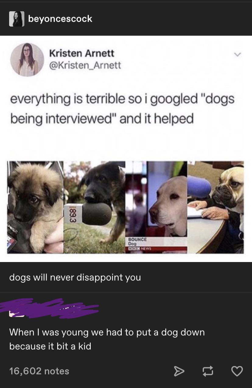 dogs being interviewed - beyoncescock Kristen Arnett everything is terrible so i googled "dogs being interviewed" and it helped 89.3 Bounce Dog Don New dogs will never disappoint you When I was young we had to put a dog down because it bit a kid 16,602 no