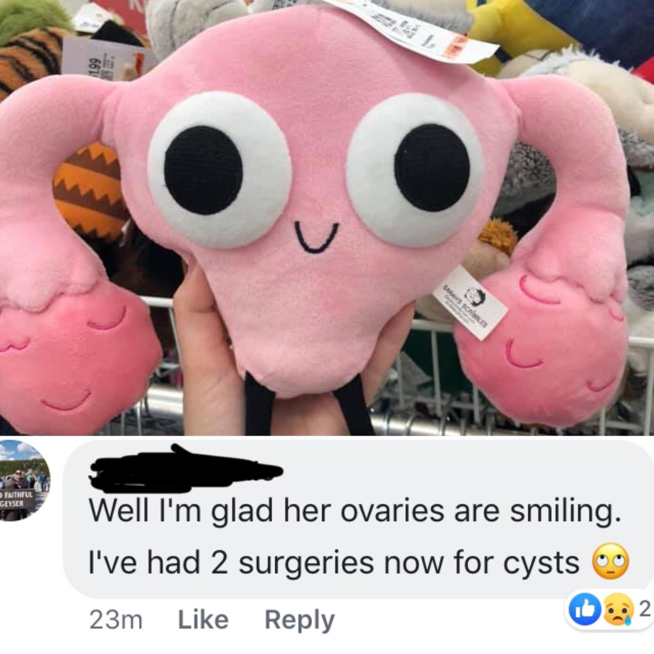 stuffed toy - Faithful Geyser Well I'm glad her ovaries are smiling. I've had 2 surgeries now for cysts 09 23m D2