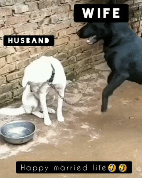 Sunnah - Wife Husband Happy married life