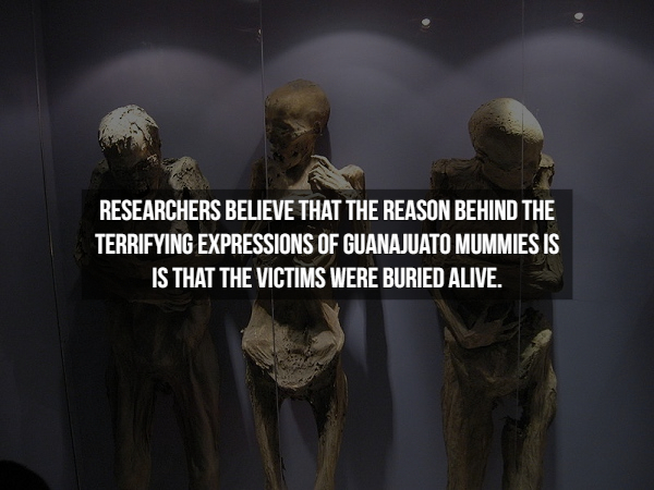 17 Creepy facts from history that might shake you.