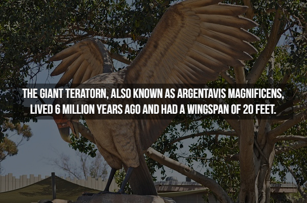 17 Creepy facts from history that might shake you.