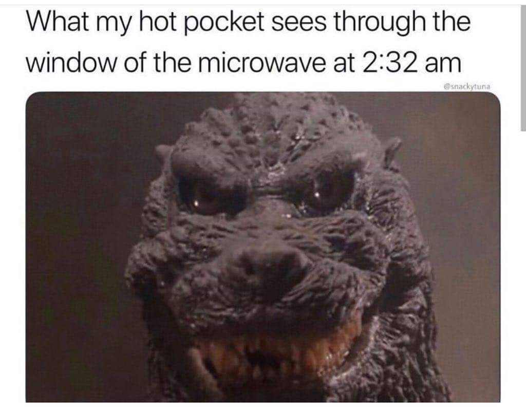 godzilla memes - What my hot pocket sees through the window of the microwave at