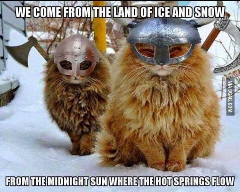 viking cat meme - We Come From The Land Ofice And Snow . Via 9GAG.Com From The Midnightsun Where The Hotsprings Flow