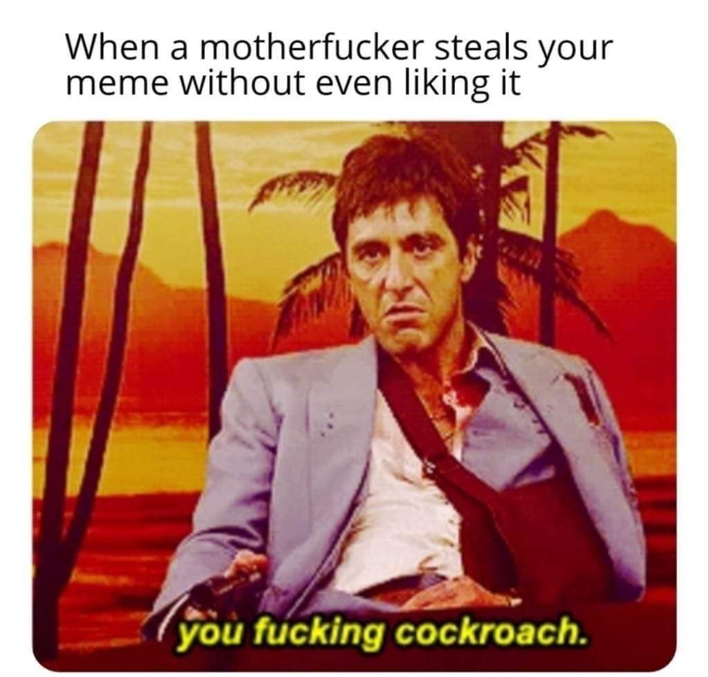 motherfucker steals your meme - When a motherfucker steals your meme without even liking it you fucking cockroach.
