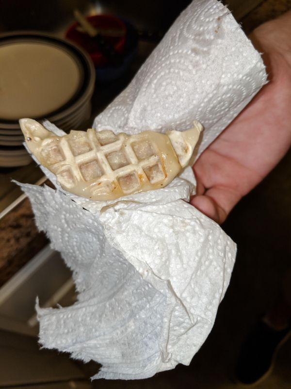 “My drunk roommate’s attempt to cook dumplings in a waffle iron went better than expected.”