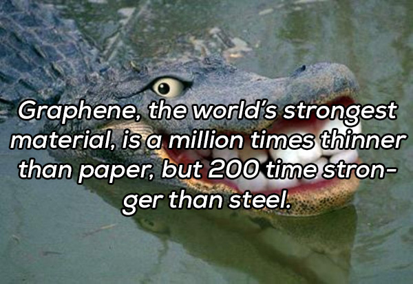 20 Random facts you need to know for no reason at all.