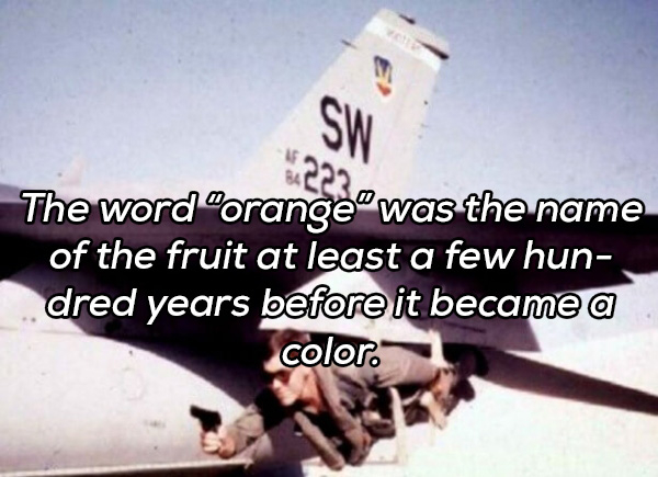 20 Random facts you need to know for no reason at all.
