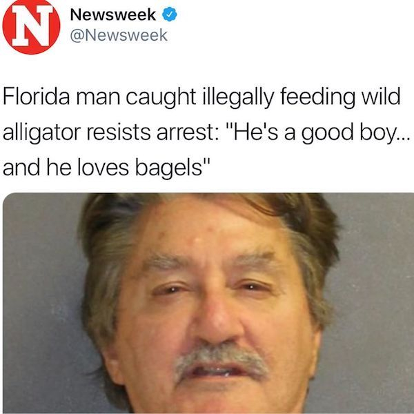 florida man arrested for feeding alligator - Newsweek Florida man caught illegally feeding wild alligator resists arrest "He's a good boy... and he loves bagels"