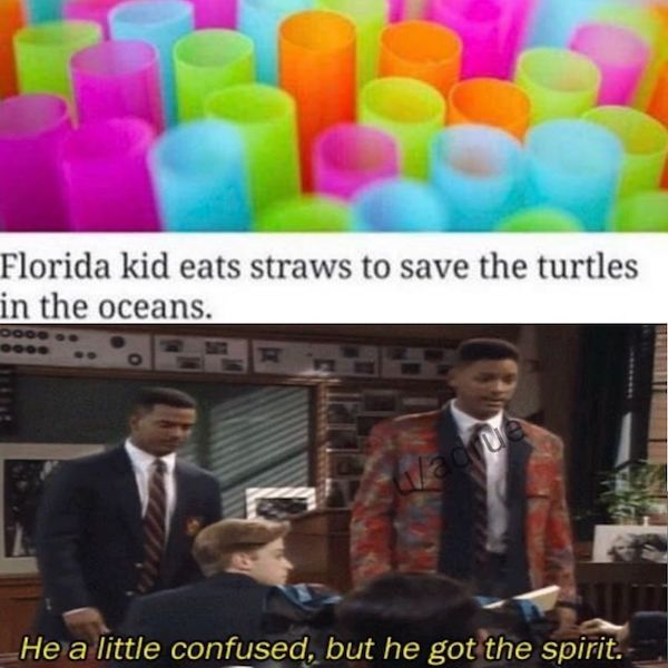 he is a little confused but he got the spirit - Florida kid eats straws to save the turtles in the oceans. He a little confused, but he got the spirit.