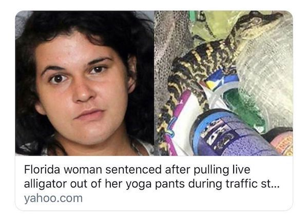 florida woman alligator in pants - Florida woman sentenced after pulling live alligator out of her yoga pants during traffic st... yahoo.com