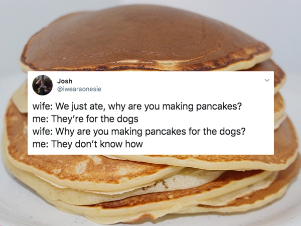 pancake and crepe - Josh wife We just ate, why are you making pancakes? me They're for the dogs wife Why are you making pancakes for the dogs? me They don't know how