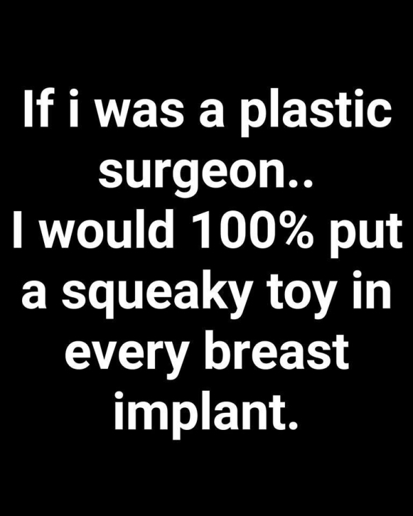 monochrome - If i was a plastic surgeon.. I would 100% put a squeaky toy in every breast implant.