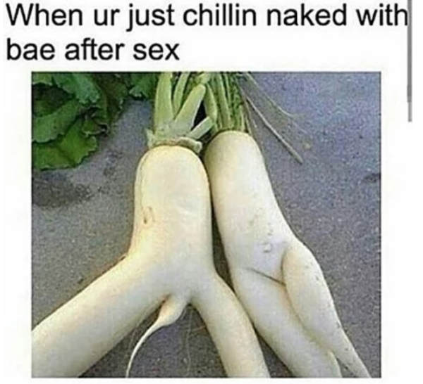 funny raddish - When ur just chillin naked with bae after sex