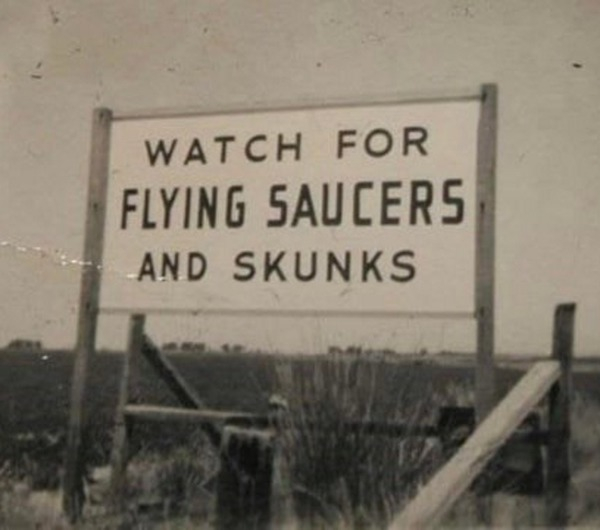 watch for flying saucers and skunks - Watch For Flying Saucers And Skunks