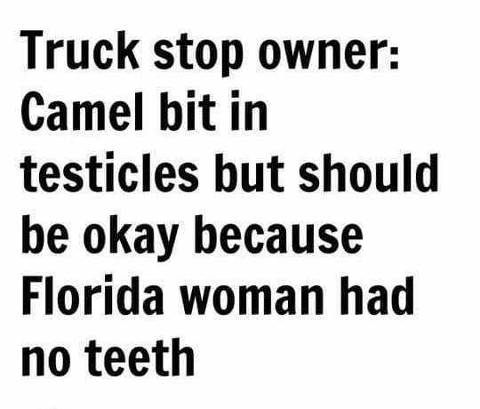 but my words like silent raindrops fell - Truck stop owner Camel bit in testicles but should be okay because Florida woman had no teeth