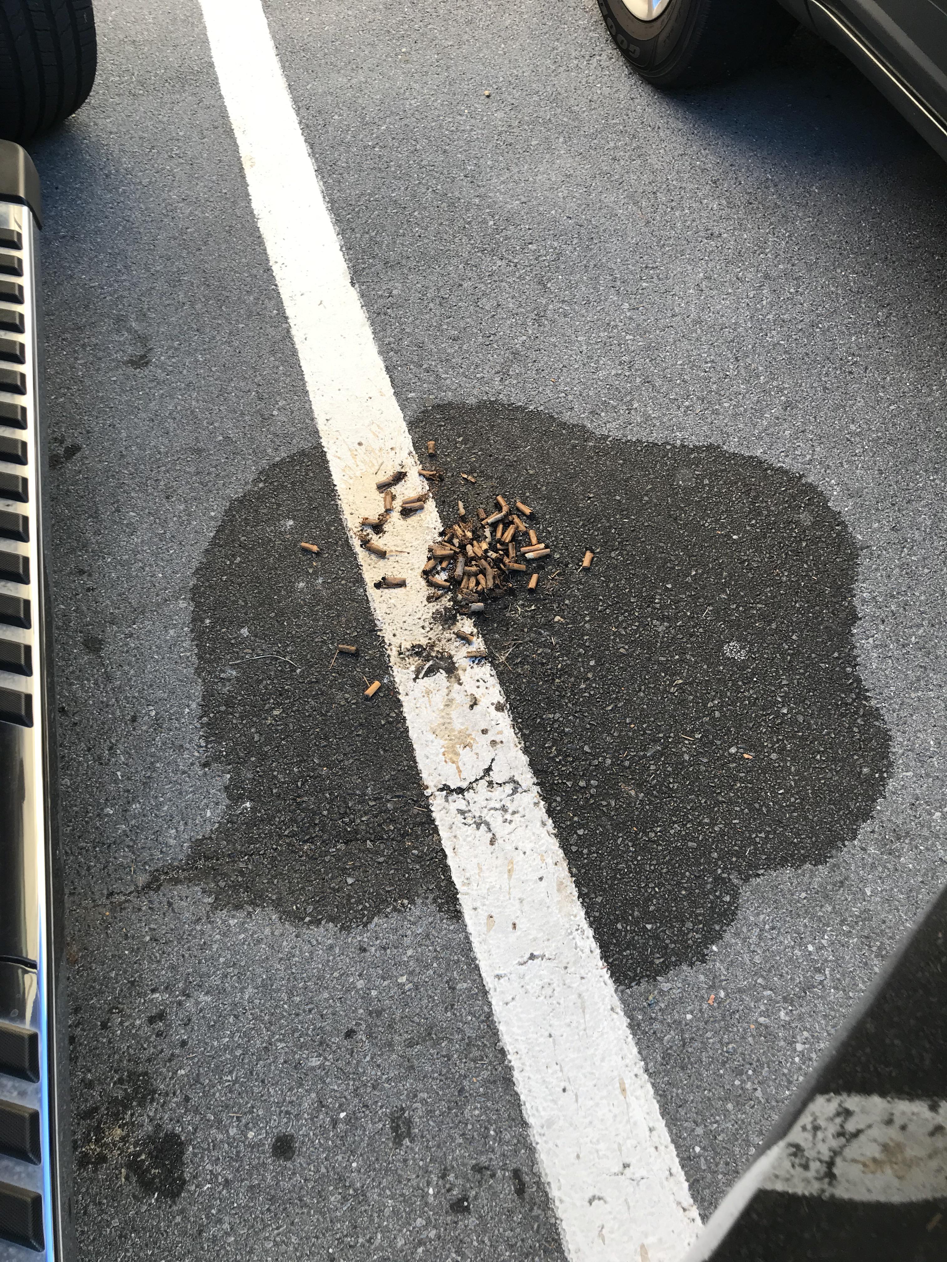 asphalt covered in cigarettes