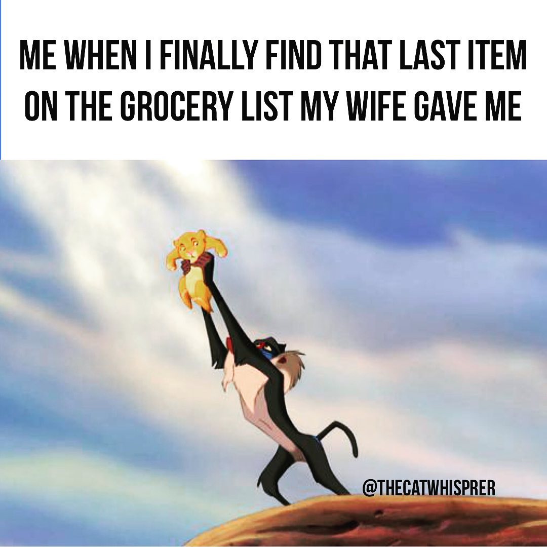 marriage - lion king simba birth - Me When I Finally Find That Last Item On The Grocery List My Wife Gave Me