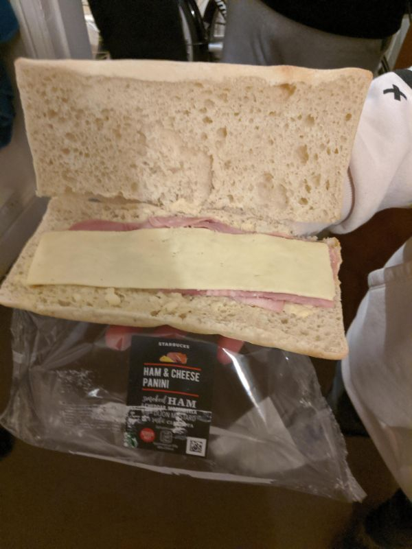 “Not what I expected in my ham & cheese panini”