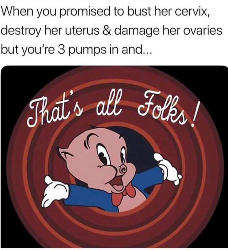 porky pig that's all folks - When you promised to bust her cervix, destroy her uterus & damage her ovaries but you're 3 pumps in and... That's all Folks,