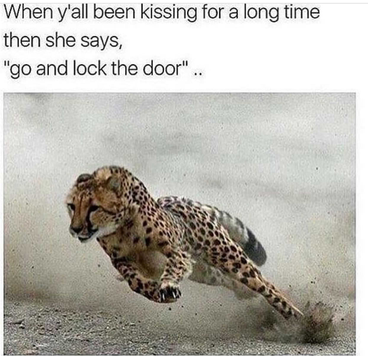 funny animal memes - When y'all been kissing for a long time then she says, "go and lock the door"..