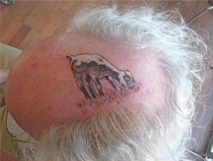 18 People who got a dose of self-irony.