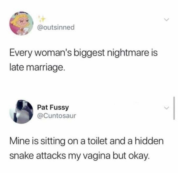 DOPEMUSIC - Every woman's biggest nightmare is late marriage. Pat Fussy Mine is sitting on a toilet and a hidden snake attacks my vagina but okay.