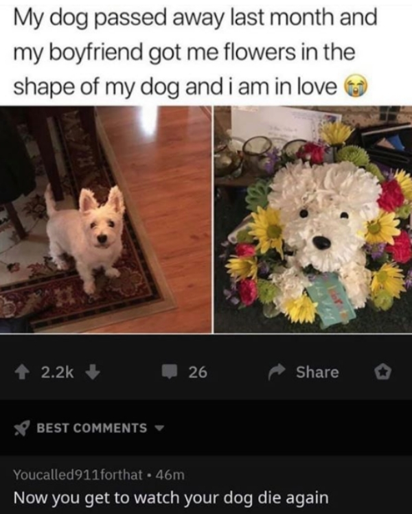 my dog passed away last month and my boyfriend got me flowers in the shape of my dog and i am in love - My dog passed away last month and my boyfriend got me flowers in the shape of my dog and i am in love 26 X Best Youcalled 911forthat 46m Now you get to