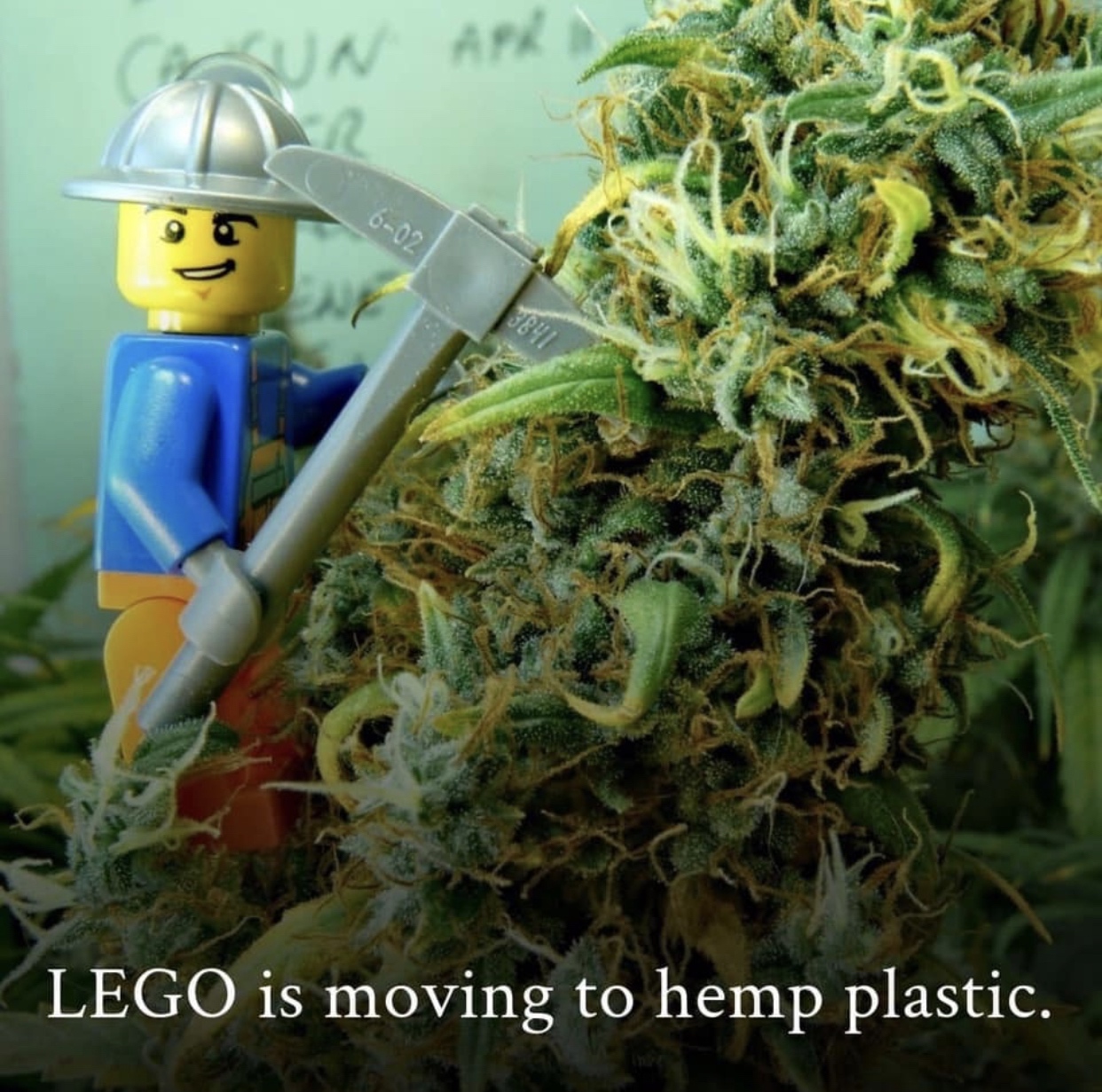 lego hemp - Lego is moving to hemp plastic.